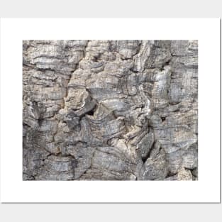 Cork Oak Tree Bark Texture 2 Posters and Art